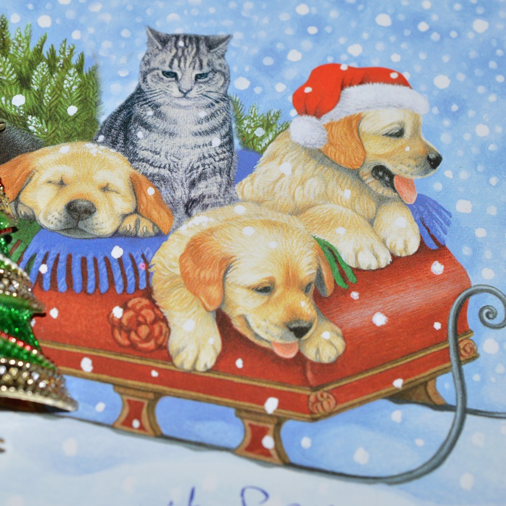 Meet your Posher, Faith